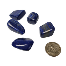 Lapis Lazuli Tumbled