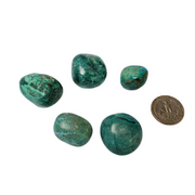 Chrysocolla - Tumbled